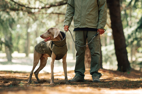 Dog Jacket - Image 5