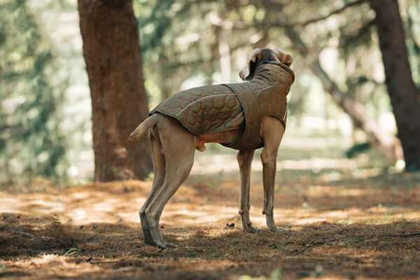 Dog Jacket - Image 4