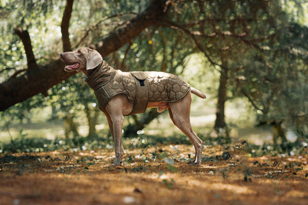 Dog Jacket - Image 3