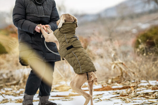 Dog Jacket - Image 2