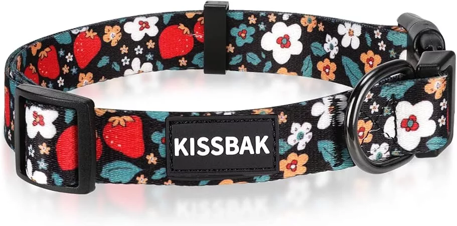 KISSBAK Dog Collar for Small Dogs - Special Design Puppy Collar Cute Small Girl and boy Dog Pet Collar Soft Adjustable Fancy Floral Dog Collar for Puppies