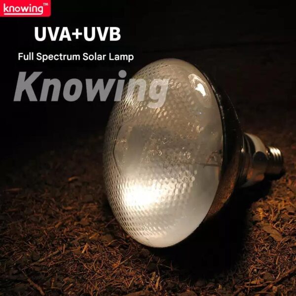 Reptile full spectrum sunlamp UVA+UVB