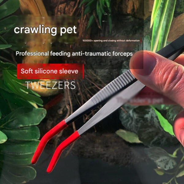 Reptile Feeding Tweezers Set (Straight & Curved Tip, 2-Pack)