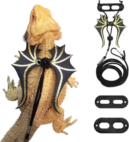 ADOGGYGO Bearded Dragon Leash & Harness Set