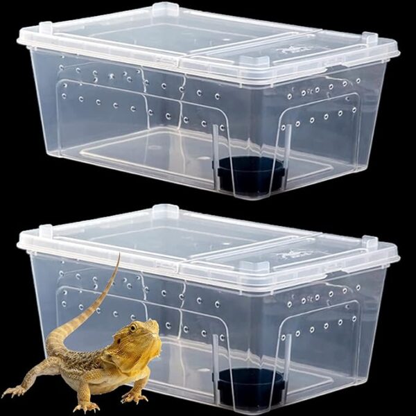 Portable Reptile Feeding Box