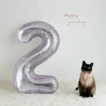 Large Purple Number Balloon for Pet Birthday