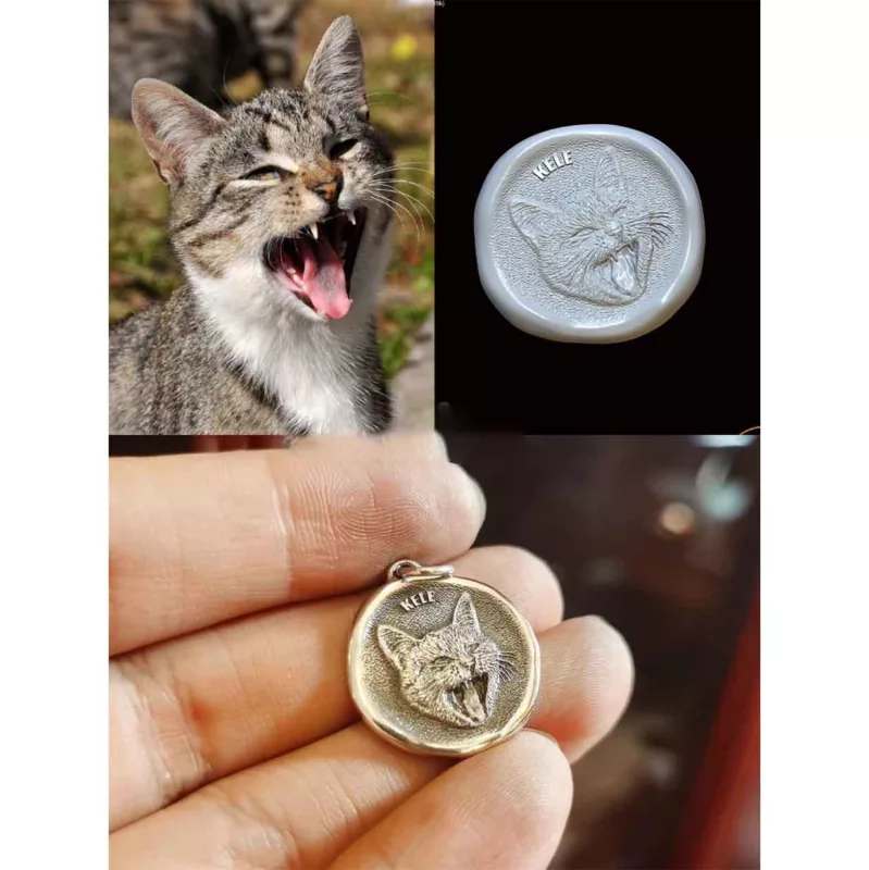 Custom pet silver carving with CNC 3D engraving (Computer Numerical Control)