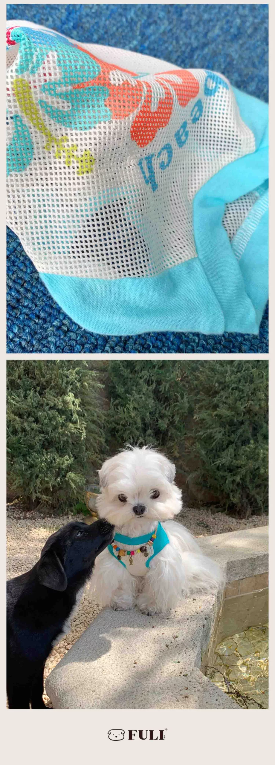 Island Holiday Summer Dog Outfit – Breathable & Cute for Small Breeds