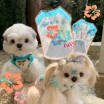 Island Holiday Summer Dog Outfit – Breathable & Cute for Small Breeds
