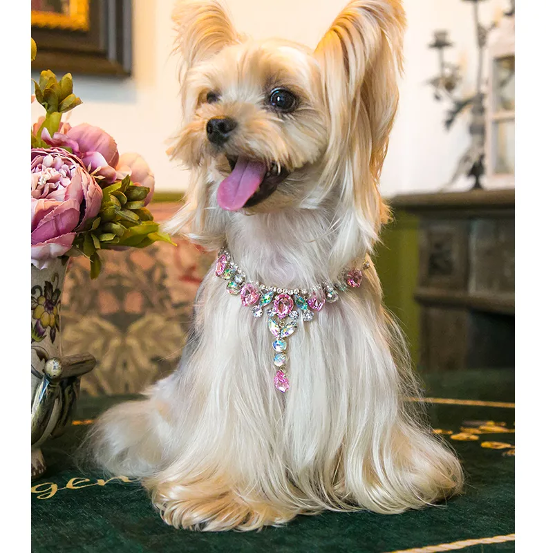 Cute Pet Necklace for Cats and Dogs