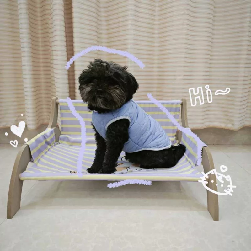 This elevated pet bed offers comfort and support for small dogs like Teddy and Bichon, keeping them cool and dry during summer. The anti-damp feature ensures a comfortable resting place. It’s easy to clean with a removable cover, perfect for daily use.