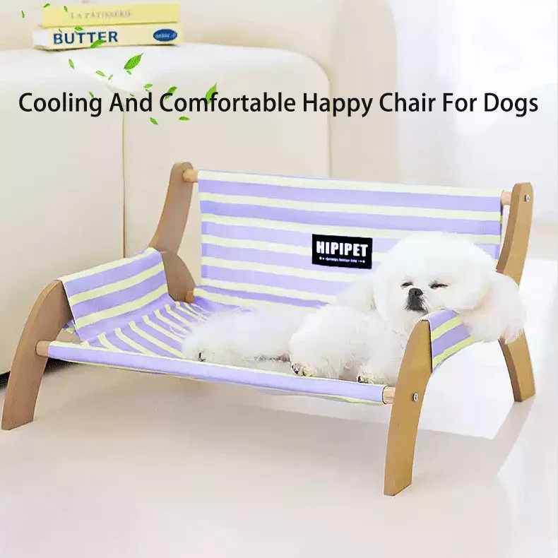 Elevated Pet Bed, Anti-Damp Lounge Chair, Washable Small Dog Bed, Summer Dog Cushion for Teddy & Bichon