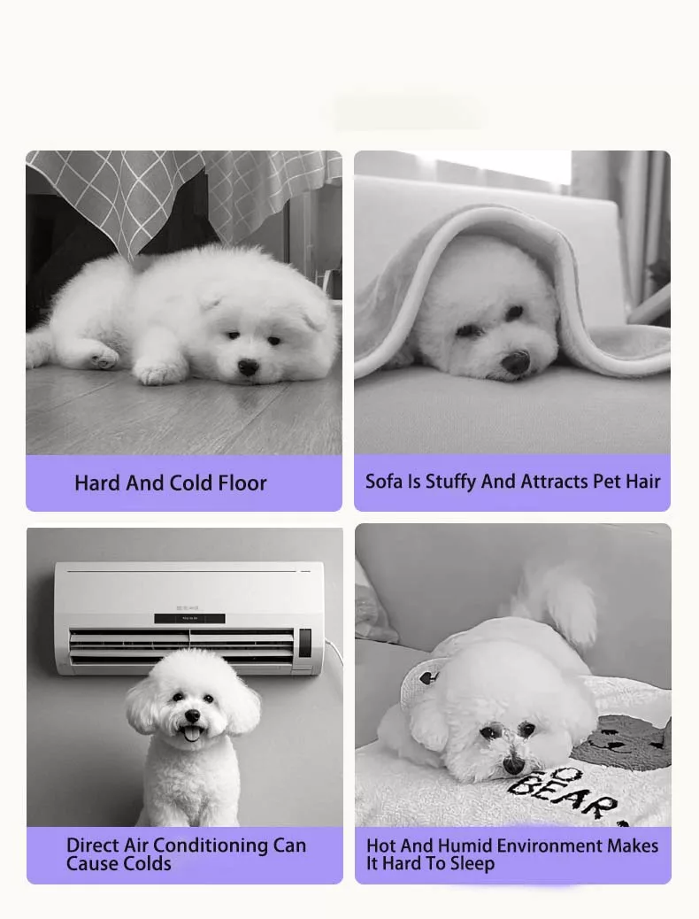 Elevated Pet Bed, Anti-Damp Lounge Chair, Washable Small Dog Bed, Summer Dog Cushion for Teddy & Bichon
