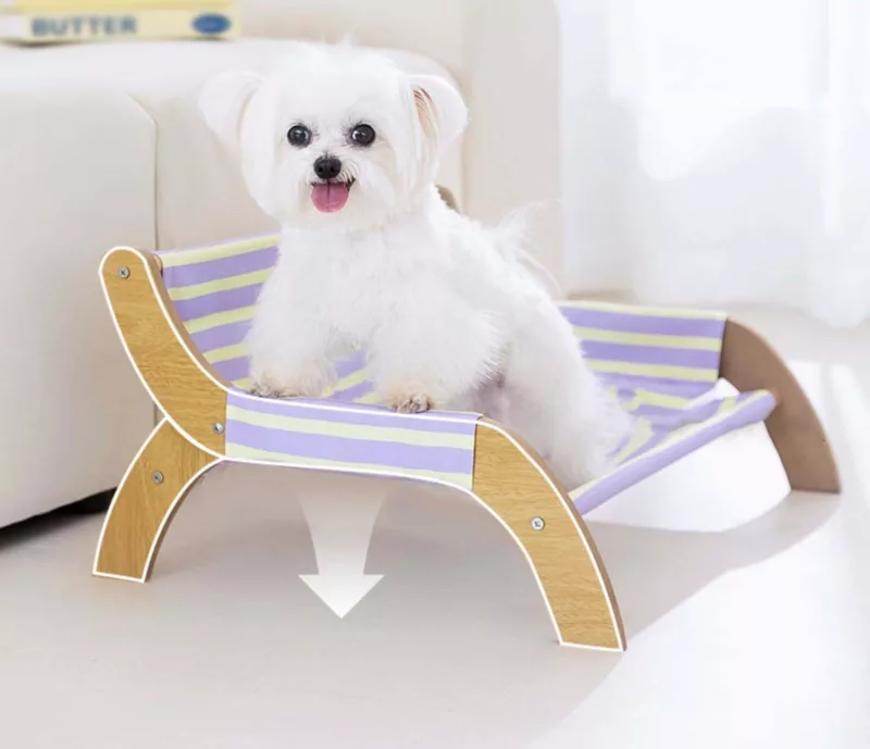 This elevated pet bed offers comfort and support for small dogs like Teddy and Bichon, keeping them cool and dry during summer. The anti-damp feature ensures a comfortable resting place. It’s easy to clean with a removable cover, perfect for daily use.