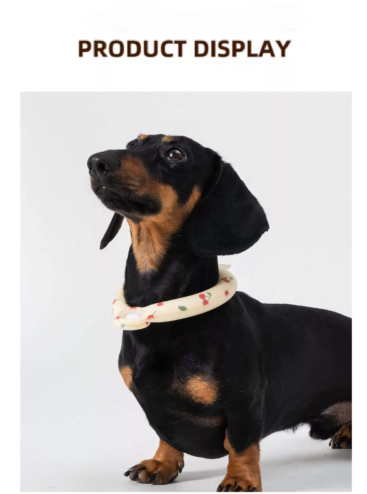 Pet Cooling Collar for Summer