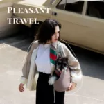 Pet Travel Tote Bag with Inner Liner