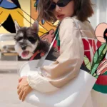 Pet Travel Tote Bag with Inner Liner