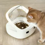 Smart Pet Feeder for Multi-Pet Homes