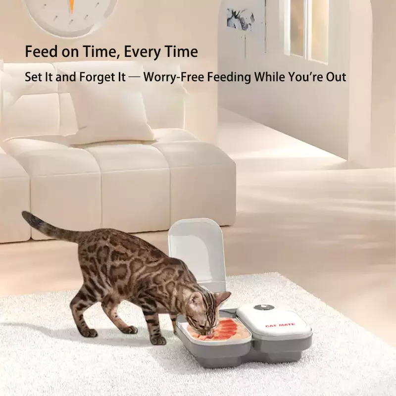 Wireless automatic pet feeder for cats and dogs with wet food freshness and scheduled feeding