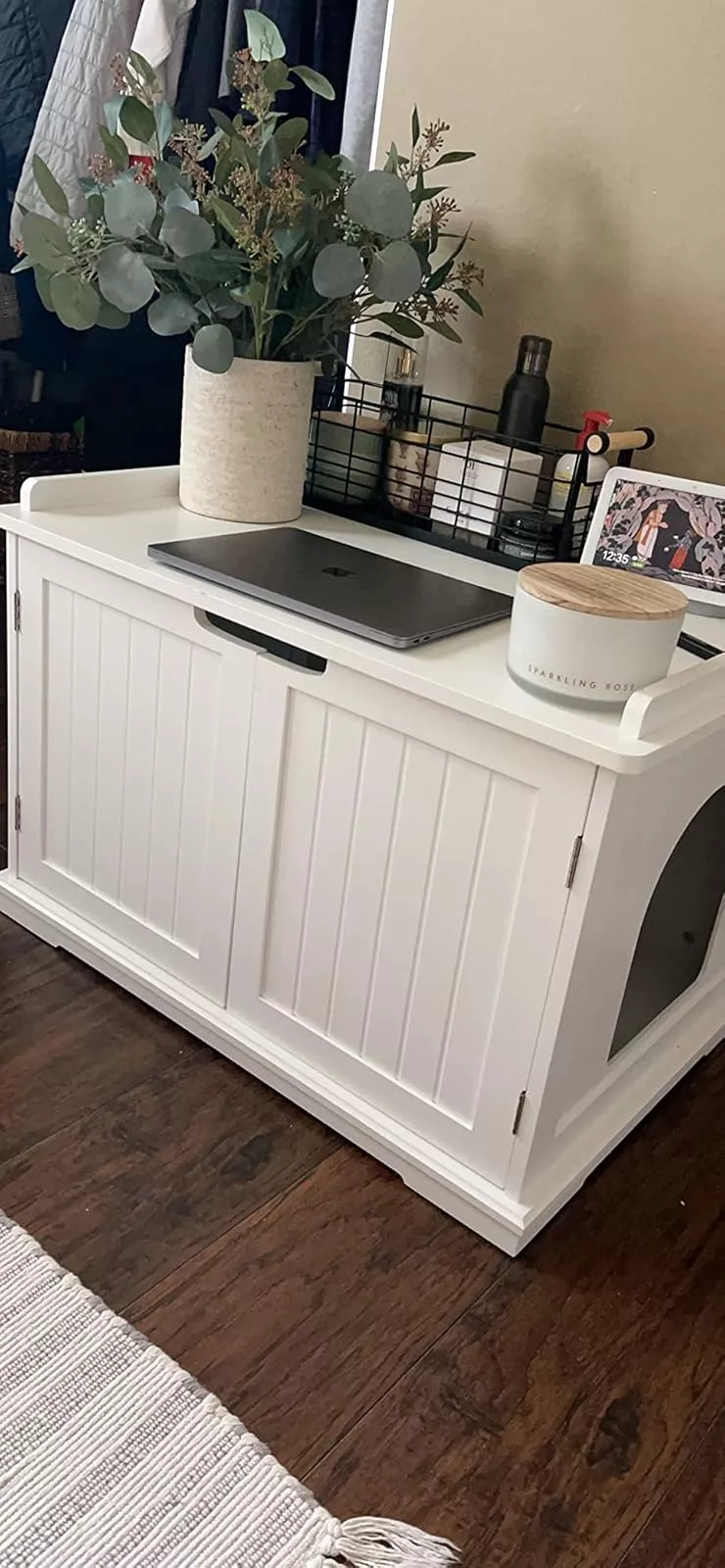 3 Hidden Litter Box Ideas You’ll Want to Try