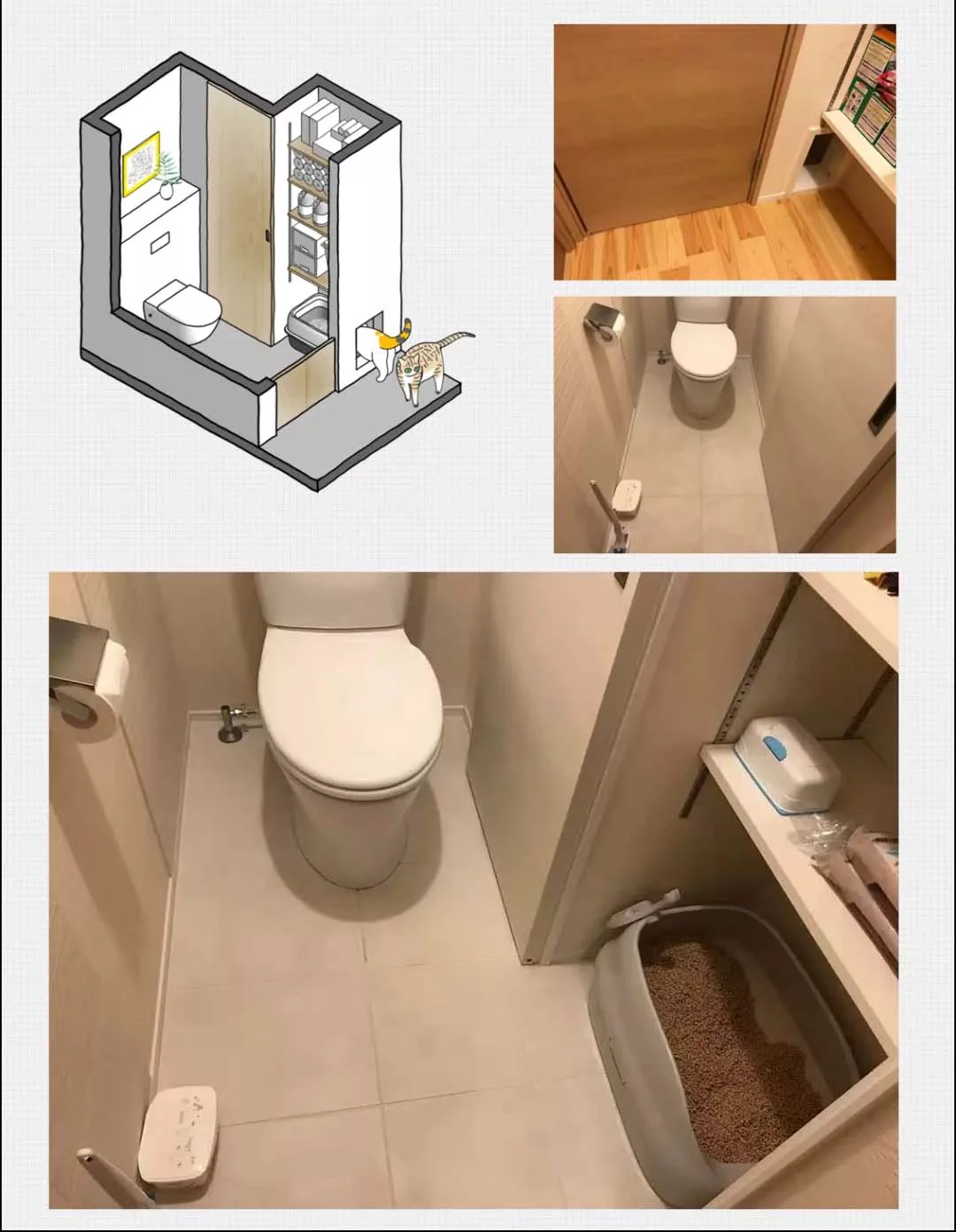 Thinking About a Hidden Litter Box? Here Are 3 Smart Ideas to Inspire You