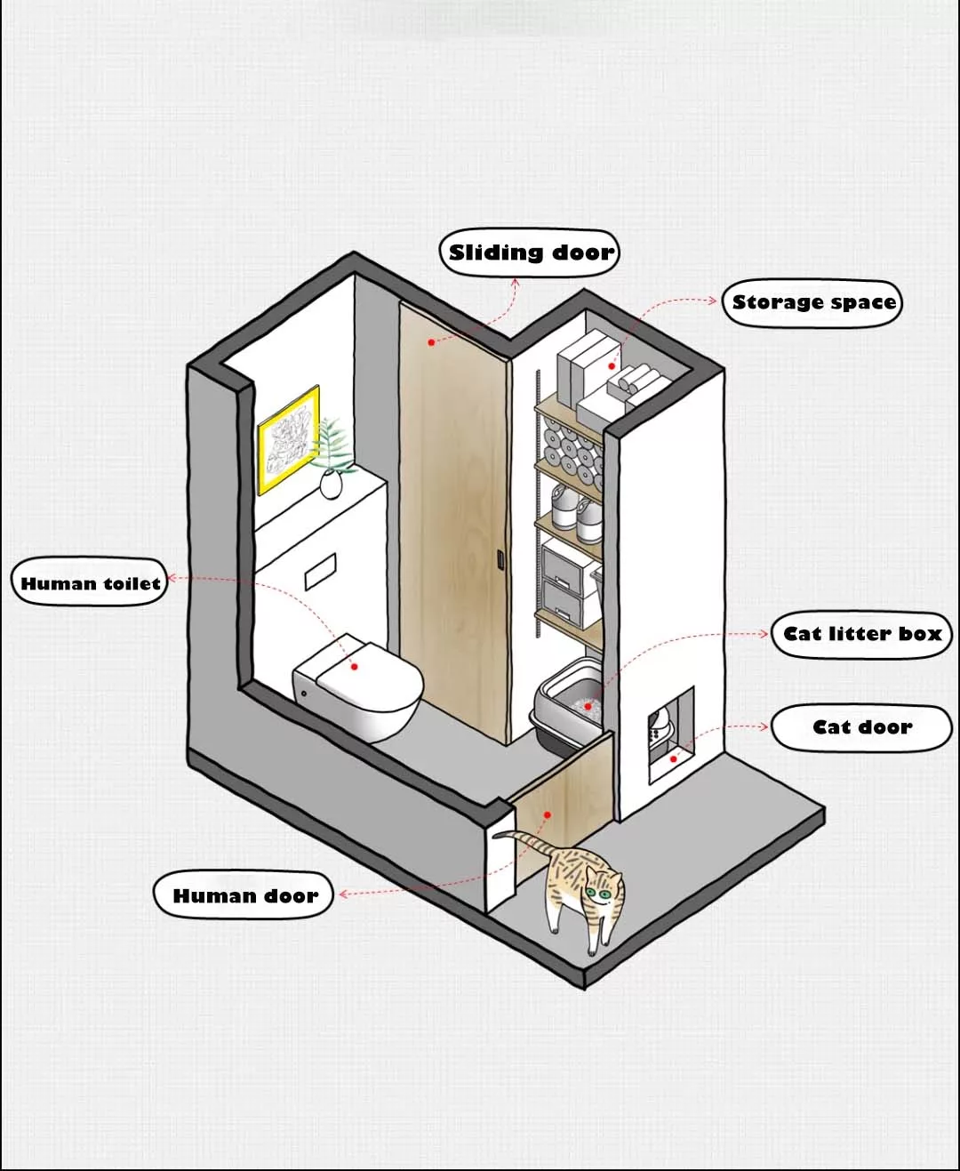 Thinking About a Hidden Litter Box? Here Are 3 Smart Ideas to Inspire You