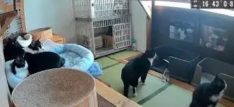 A Living Disaster Alarm​