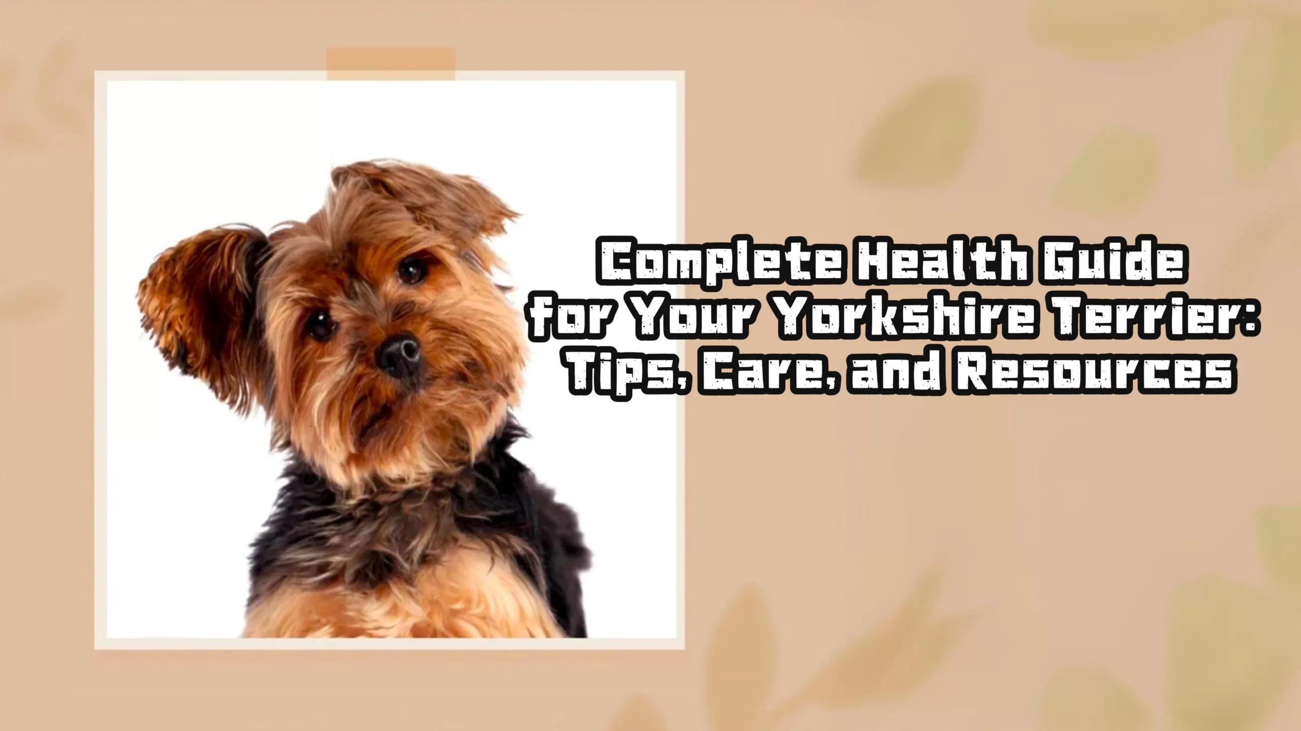 Complete Health Guide for Your Yorkshire Terrier -封面