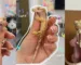 Crested Geckos