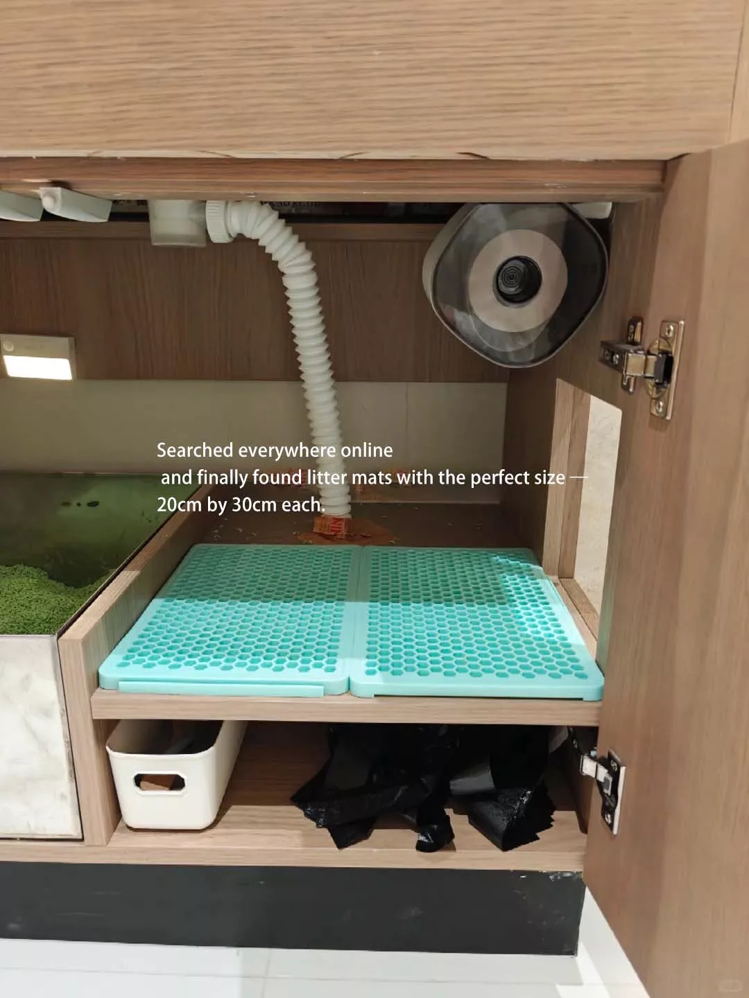 Hidden Litter Box: 3 Clever Solutions for a Neater Home