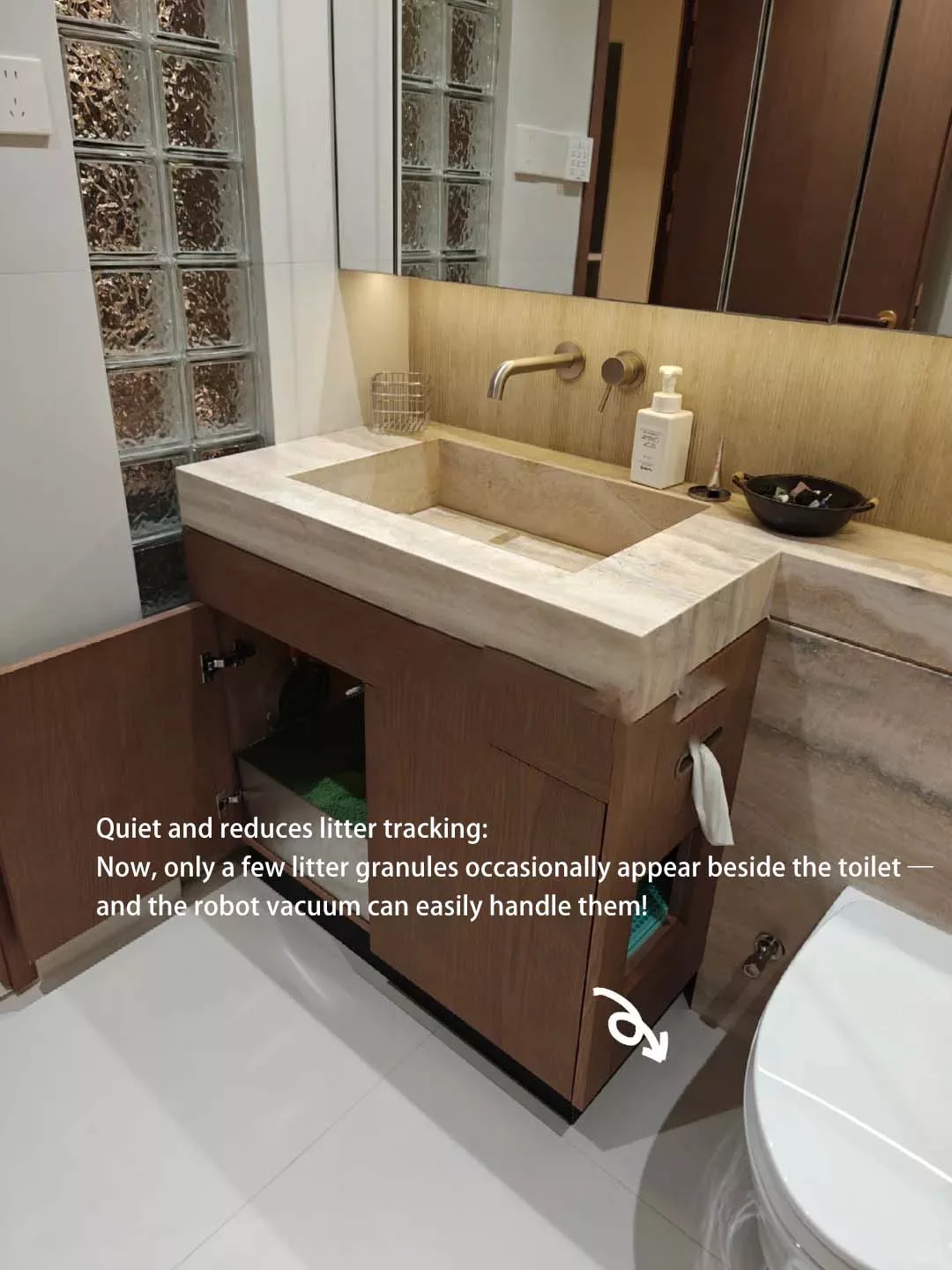 Hidden Litter Box: 3 Clever Solutions for a Neater Home